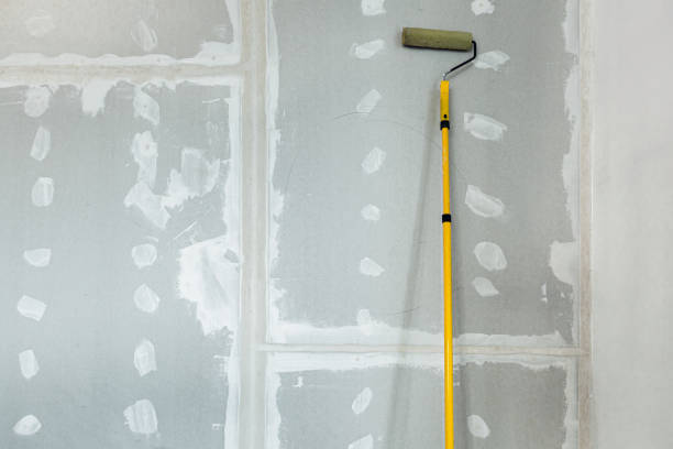 Mold Documentation for Insurance Claims in New Lisbon, WI