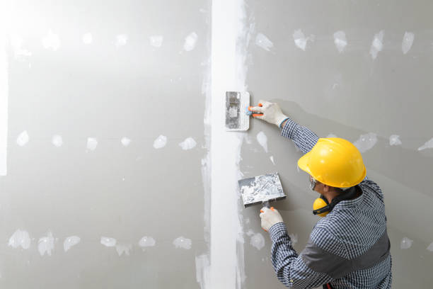 Best Attic Mold Removal  in New Lisbon, WI