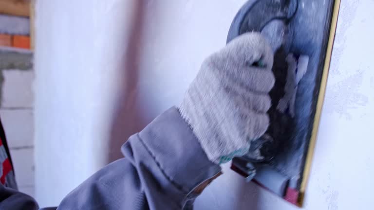 Best Black Mold Removal  in New Lisbon, WI