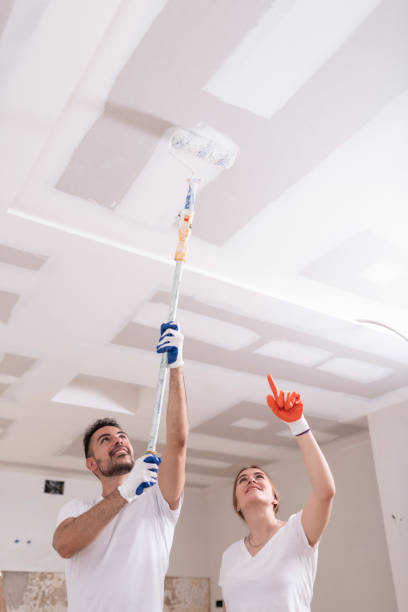 Reliable New Lisbon, WI Mold Removal Solutions