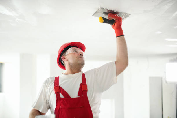 Reliable New Lisbon, WI Mold Removal Solutions