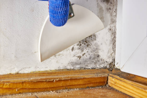 Best Indoor Air Quality Assessment  in New Lisbon, WI